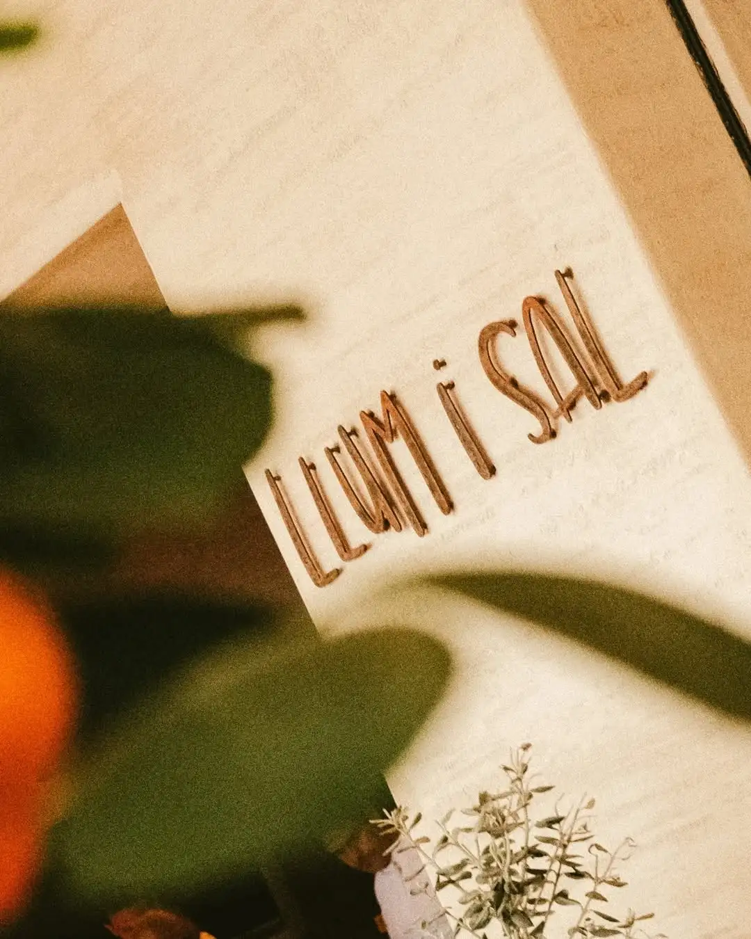 Detalle del rótulo de Llum i Sal entre hojas y luz cálida.