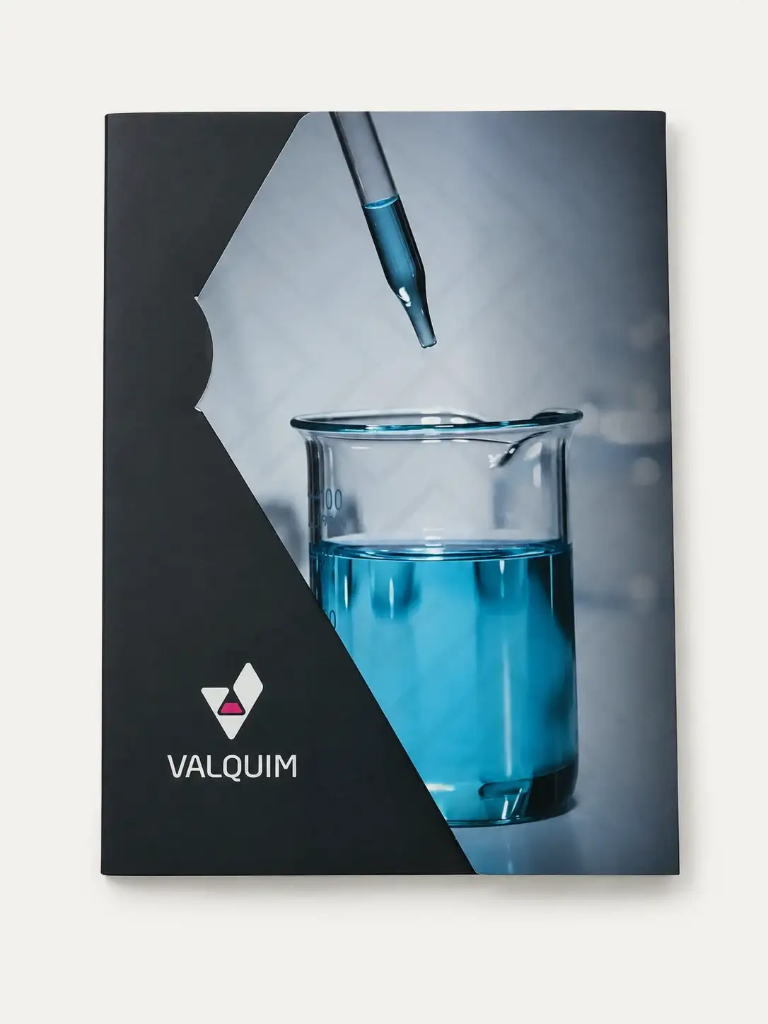 Portada del catálogo de Valquim: un vaso de laboratorio con líquido azul y el logotipo sobre negro.